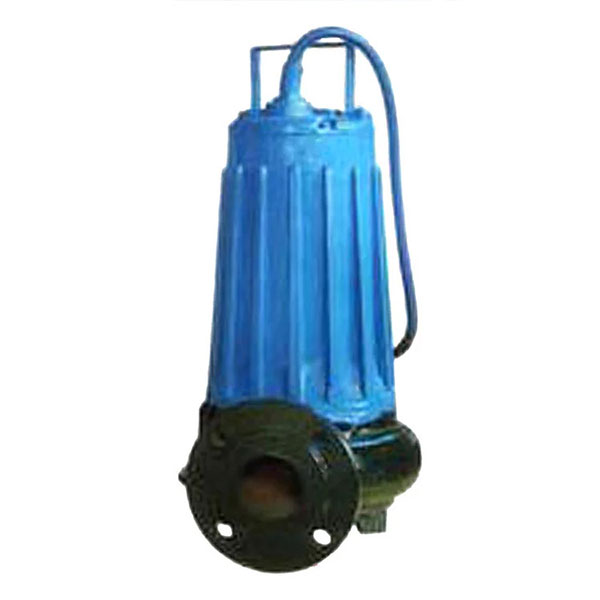 Bơm hút nước giếng sâu CQX(W)
