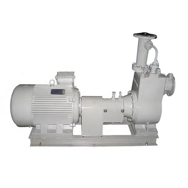 Bơm ly tâm dầu tự mồi trục ngang hàng hải CYZ